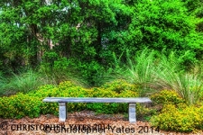 Yates0071